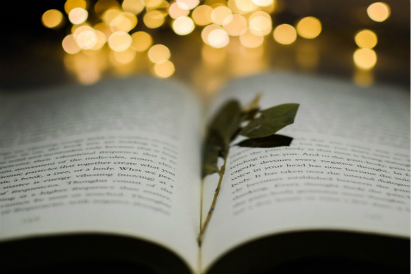 【教师年度考核个人总结】小学教师实习目的和要求范文